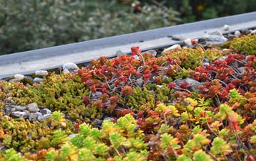 the cost of Clawthorpe green roof installation