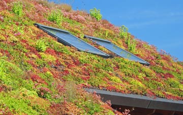Clawthorpe living roof systems